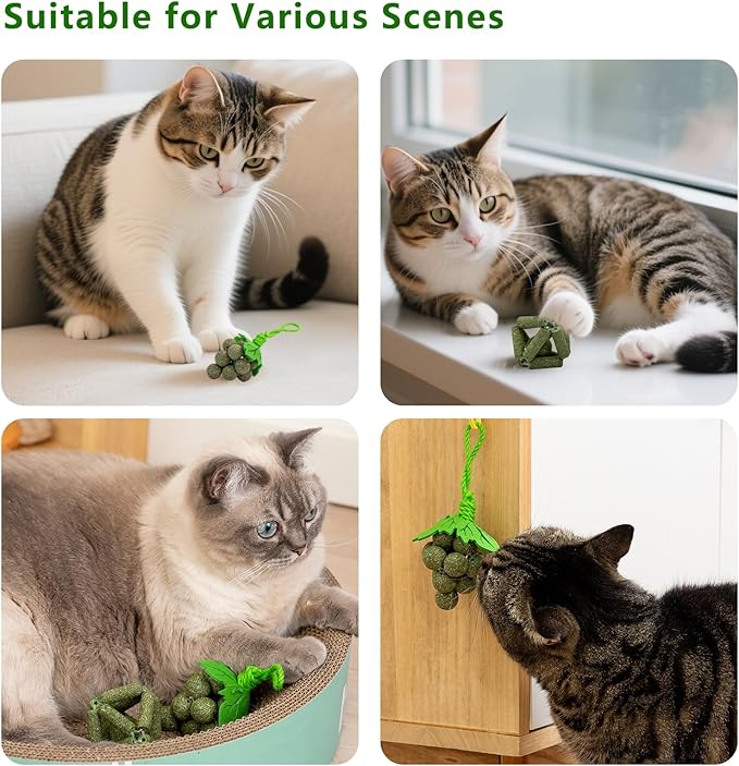 Cat Catnip Toys,2Pcs Catnip Ball for Cats,Toys for Indoor Cats,Cat Chew Exercise Toy for All Breeds and Species,Enhances Oral and Dental Health