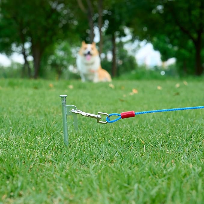 Amazon Basics Tie-Out Cable for Dogs up to 60 lbs, 25 feet, Blue