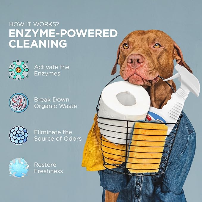 Professional Strength Pet Stain and Odor Eliminator Urine Odor Remover Pet Urine Enzyme Cleaner Enzymatic Cleaner for Dog Urine and Cat Urine Pet Odor Eliminator (32 oz.)