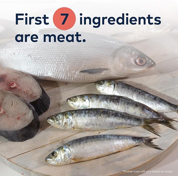 ZIWI Peak Steam & Dried Cat Food – Wild South Pacific Fish - High Protein, Skin & Coat Health, Low Carb, for All Life Stages (78.4oz)