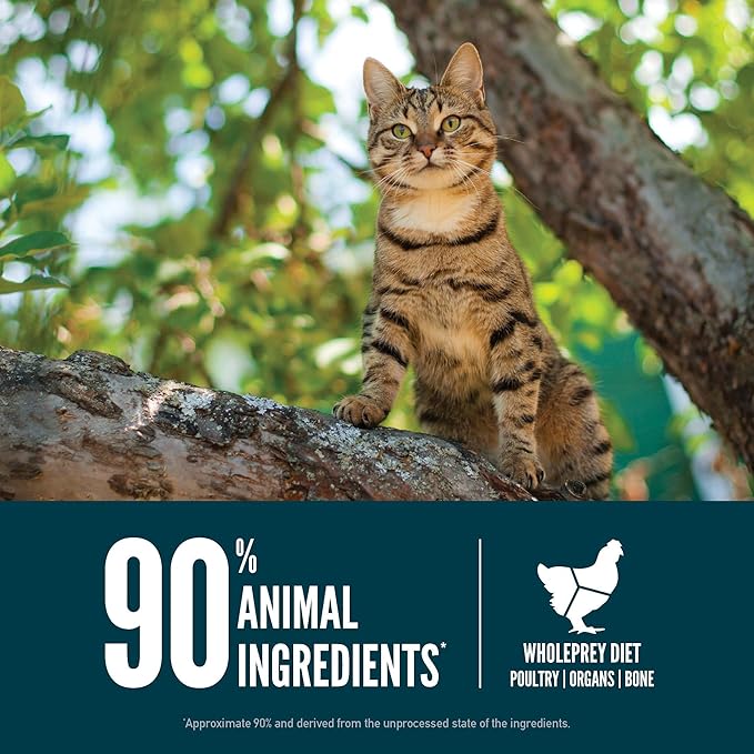 ORIJEN Guardian 8 Grain Free High Protein Premium Dry Cat Food 4lb Bag