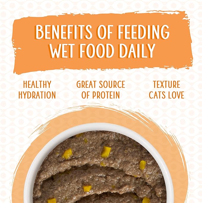 Weruva Classic Cat Paté, Who Wants to be a Meowionaire? with Chicken & Pumpkin, 5.5oz Can (Pack of 8)