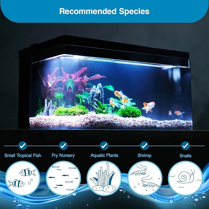 Harmony Aquatic Tank by Clairnara - Harmony Legend - iF Design Award Winning 10 Gallon All-in-One Aquarium