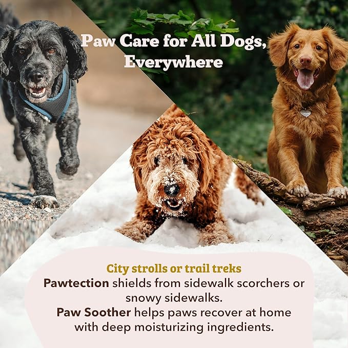 Natural Dog Company Paw Soother Balm for Dogs 0.15 oz Stick, Organic Soothing & Moisturizing Relief for Dry, Cracked Paws, Winter Healing Relief, Gentle & Lick-Safe