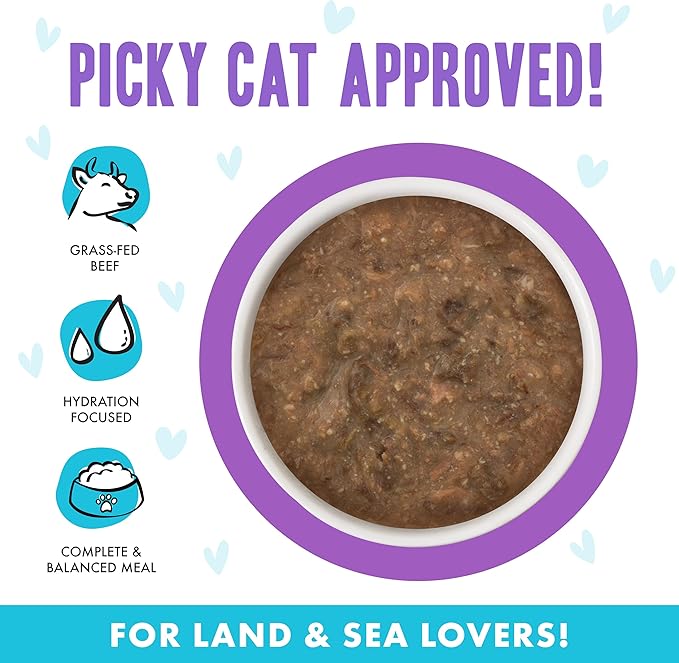 Weruva B.F.F. OMG - Best Feline Friend Oh My Gravy!, Best Day Eva! with Beef & Salmon in Gravy Cat Food, 2.8oz Can (Pack of 12)