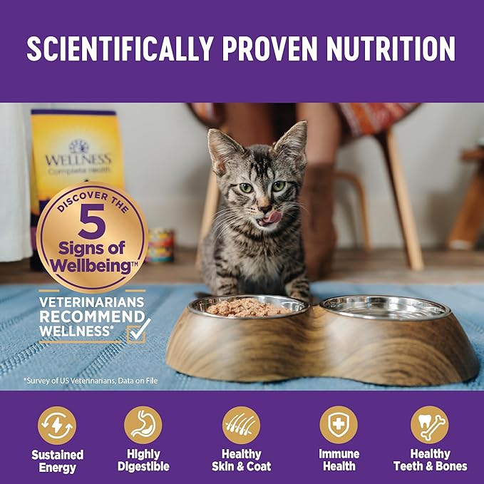 Wellness Complete Health Pate Adult Wet Cat Food, Natural, Protein-Rich, Grain Free, 5.5 Ounce, 24 Pack, (Beef & Chicken)