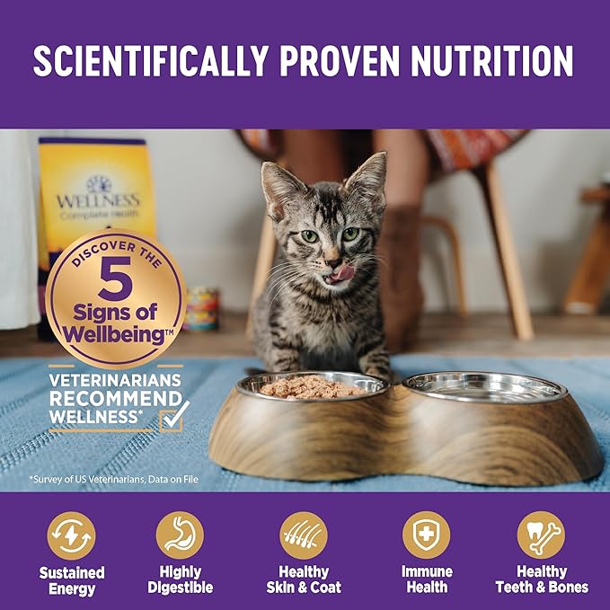 Wellness Complete Health Gravy & Minced Adult Wet Cat Food, Natural, Protein-Rich, Grain Free, 3 Ounce, 12 Pack, (Salmon, Tuna, and Chicken Variety Pack)