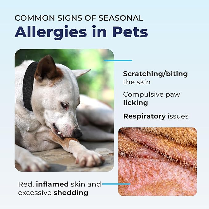 Vetnique Dermabliss Anti Itch Spray for Dogs & Cats with Hydrocortisone for Allergies and Immediate Dog Itching Skin Relief - Fragrance Free with Soothing Oat Extract (8oz)