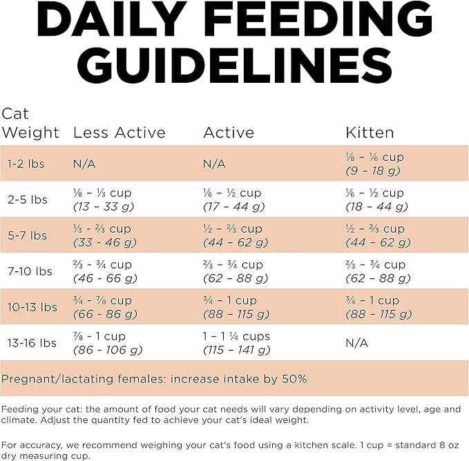 Go! Solutions Skin + Coat Care, Grain-Free Dry Cat Food, Salmon Recipe, 3 lb Bag