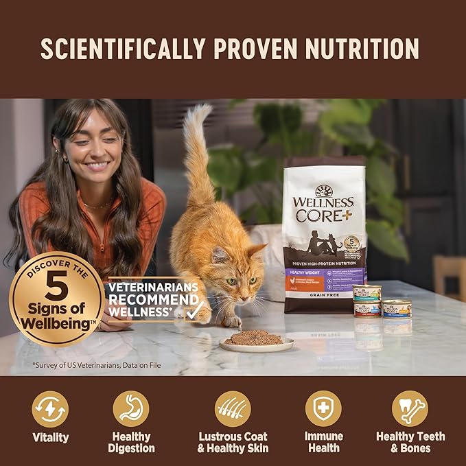 Wellness CORE+ Skin & Coat Pate Adult Wet Cat Food, Natural, Protein-Rich, Grain Free, 2.8 Ounce, 12 Pack (Duck & Chicken)