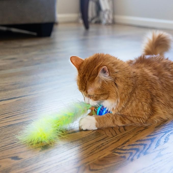Catstages Roll & Chase Robot Toy –Interactive Electronic Cat Toy for Indoor with Feather Teaser Tail, Lights, USB Rechargeable, Automatic Moving Action for Active Play, Mental Stimulation & Enrichment