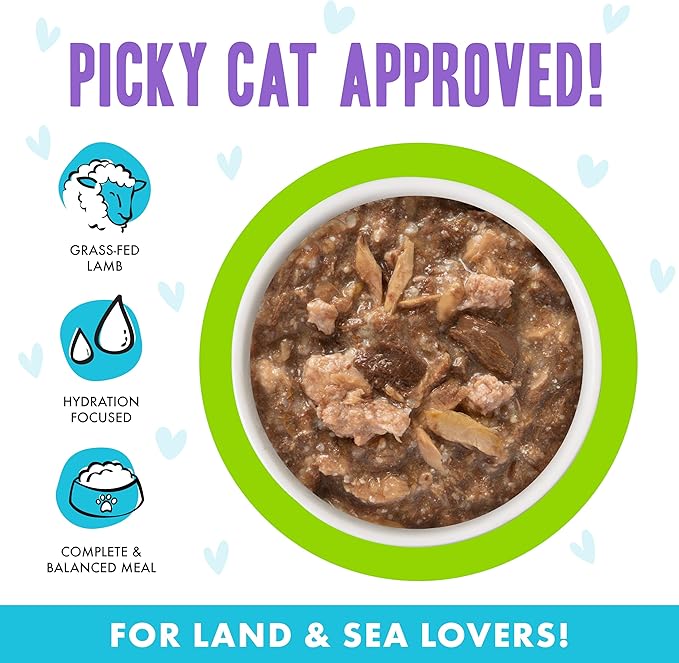 Weruva B.F.F. OMG - Best Feline Friend Oh My Gravy!, Shazaam! with Lamb & Tuna in Gravy Cat Food, 2.8oz Pouch (Pack of 12)