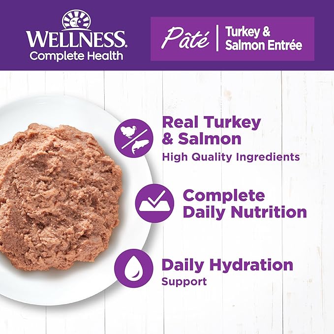 Wellness Complete Health Pate Adult Wet Cat Food, Natural, Protein-Rich, Grain Free, 3 Ounce, 24 Pack, (Turkey & Salmon)