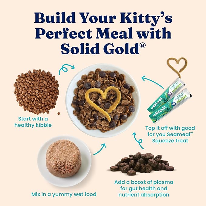 Solid Gold Wet Cat Food Pate in Coconut Oil - Healthy Canned Cat Food Pate w/Real Salmon, Omega Fatty Acids, Vitamins & Minerals - Grain Free & Gluten Free Canned Meals for Cats & Kittens - 24ct/3oz