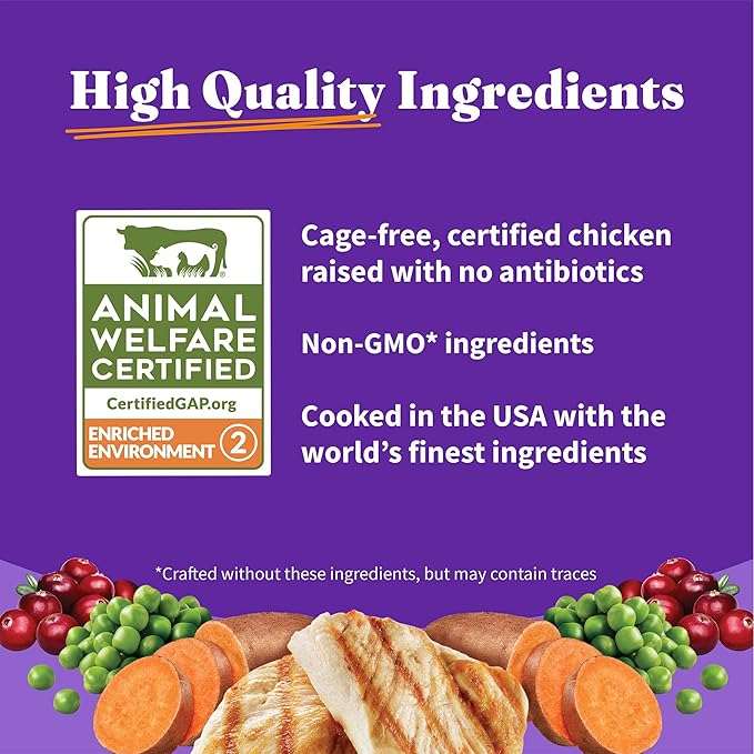 Halo Holistic Cage Free Chicken Cat Food, Grain Free Dry Cat Food, For Healthy Weight Support, Kibble for Indoor Cats, 3 lb Bag