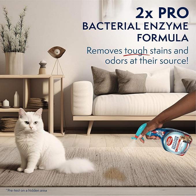 Simple Solution Stain and Odor Eliminator Spray, Pee Stain Remover, Enzyme Carpet Cleaner, Dog Smell Remover for Carpets, Dog Odor Remover, 32 oz (Pack of 2)