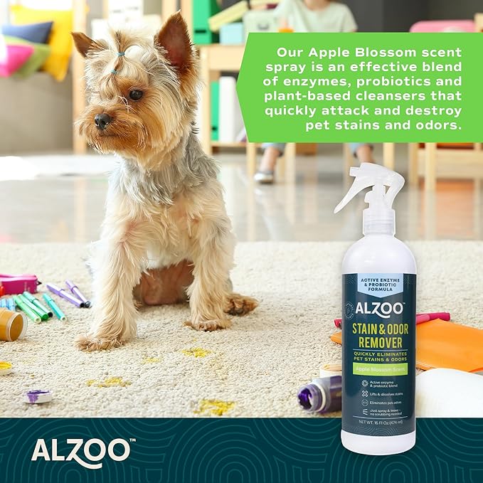 Stain & Odor Remover, Quickly Lifts & Dissolves Pet Stains & Helps Eliminate Odors, 100% Plant-Based Active Ingredients, Apple Blossom Scent, 16 Fl. Oz Spray Bottle