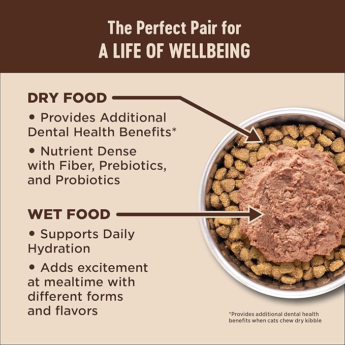 Wellness CORE+ Digestive Health Pate Adult Wet Cat Food, Natural, Protein-Rich, Grain Free, 3 Ounce, 12 Pack (Whitefish)