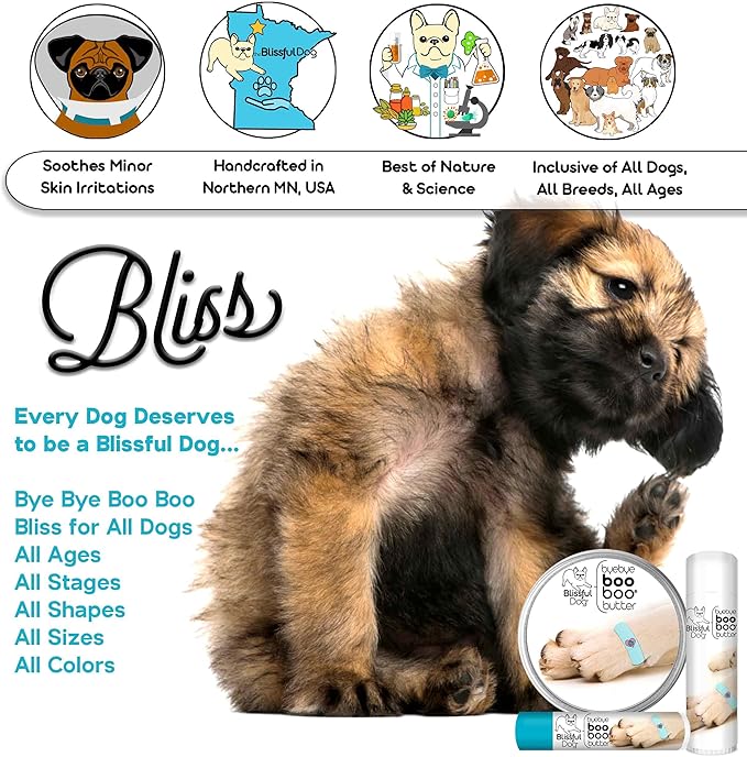 The Blissful Dog Leonberger Boo Boo Butter, 4-Ounce