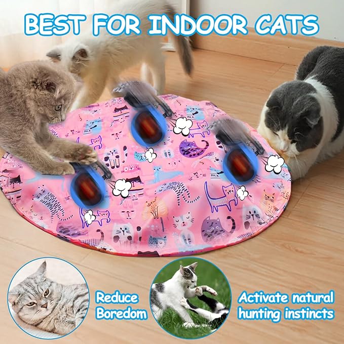 Mity Rain Interactive Cat Toy - Ball for Indoor Jumping and Rolling in Pouch, Hide and Seek Mat for Self Play, Boredom Relief and Activating Natural Hunting Instincts - Kitten Toys