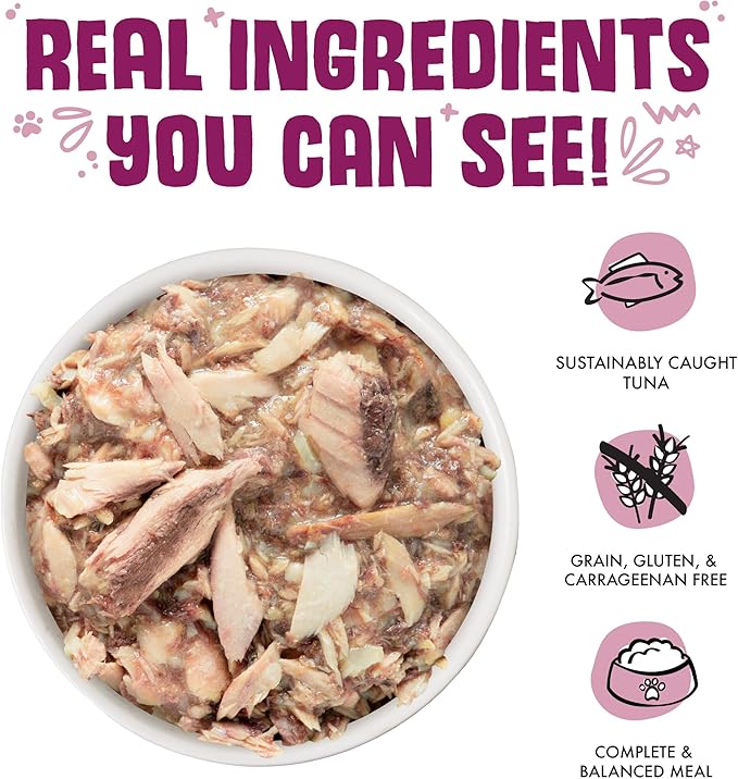 Weruva Classic Cat Food, Mideast Feast with Grilled Tilapia in Gravy, 10oz Can (Pack of 12)