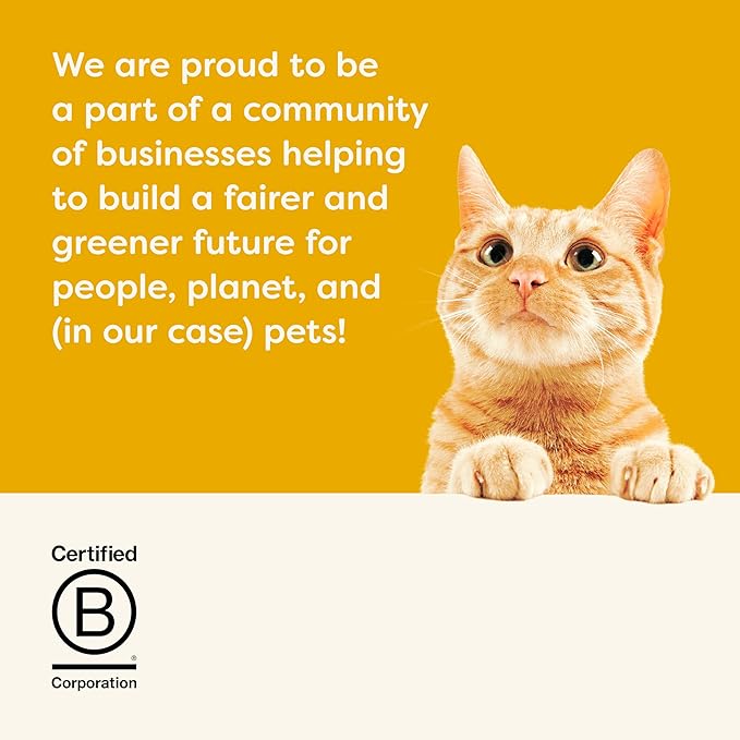 Applaws Natural Wet Canned Cat Food, Made with Limited and Natural Ingredients, Real Protein with No Artificial Additives, Chicken Selection Variety Pack in Broth (24 x 2.47oz Cans)