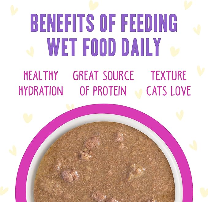 Weruva B.F.F. OMG - Best Feline Friend Oh My Gravy!, Chicken & Duck Dream Team with Chicken & Duck in Gravy, 2.8oz Can (Pack of 12)