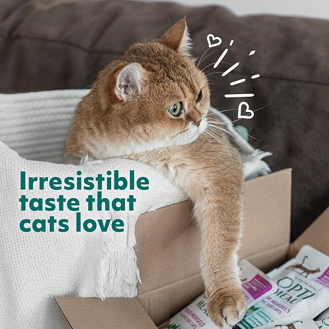 Optimeal Weight Control Dry Cat Food Recipe with Metabolism Support for Healthy Digestion, Premium Nutrition Made with Natural Ingredients for Adult Cats Maintenance (3.3 lbs, Turkey & Oatmeal)