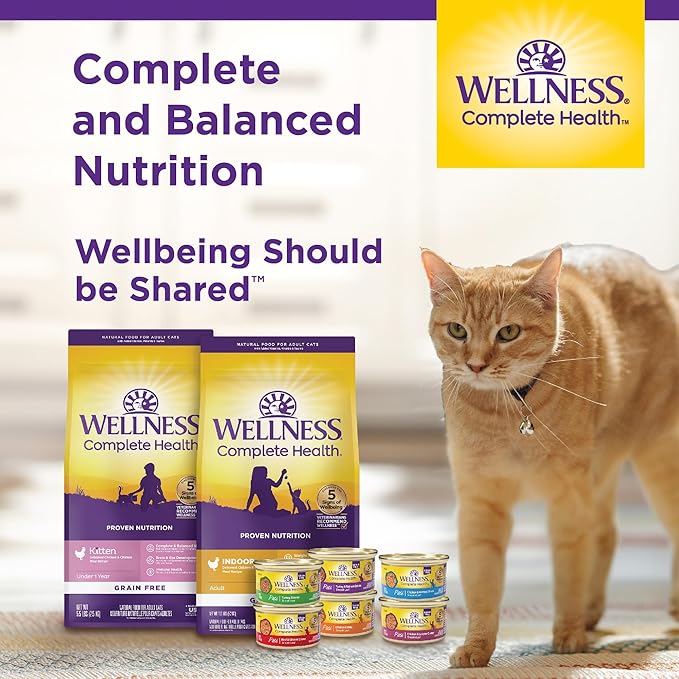 Wellness Complete Health Minced Adult Wet Cat Food, Natural, Protein-Rich, Grain Free, 3 Ounce, 24 Pack, (Tuna Entrée)