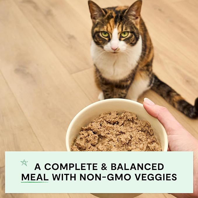 Open Farm Canned Cat Food, Paté for Complete & Balanced Nutrition, Grain-Free and Legume-Free Wet Cat Food, Harvest Chicken Recipe, 2.8oz Cans (Case of 18)