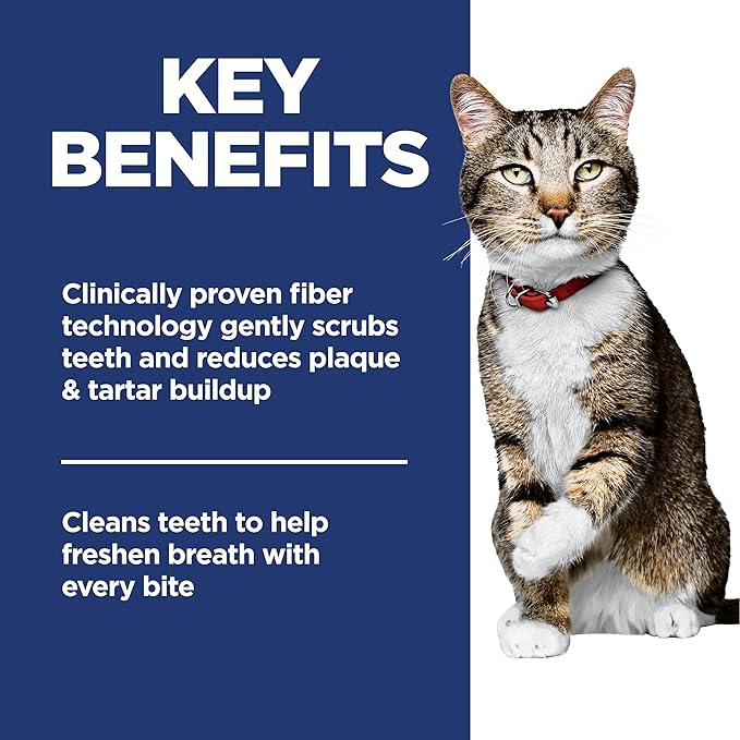 Hill's Science Diet Oral Care, Adult 1-6, Plaque & Tartar Buildup Support, Dry Cat Food, Chicken Recipe, 7 lb Bag