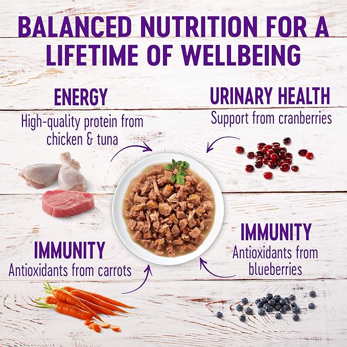 Wellness Healthy Indulgence Gravy Adult Wet Cat Food, Natural, Protein-Rich, Grain Free, 3 Ounce Pouch, 8 Pack, (Gravy Variety Pack)