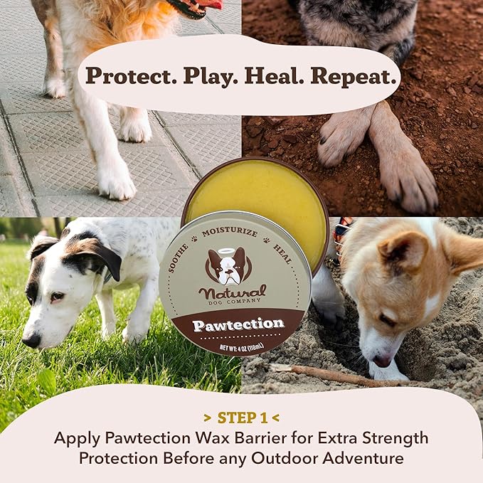 Natural Dog Company Paw Soother Balm Bundle, with 4 Travel Sticks (0.15 oz Each), Lotion, Moisturizes & Soothes Irritated Paws & Elbows, Protects from Cracks & Wounds, Lick-Safe, Made in USA
