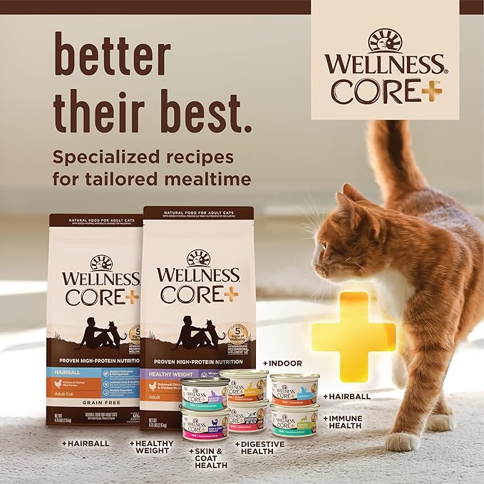 Wellness CORE+ Skin & Coat Pate Adult Wet Cat Food, Natural, Protein-Rich, Grain Free, 2.8 Ounce, 12 Pack (Salmon & Sardine)