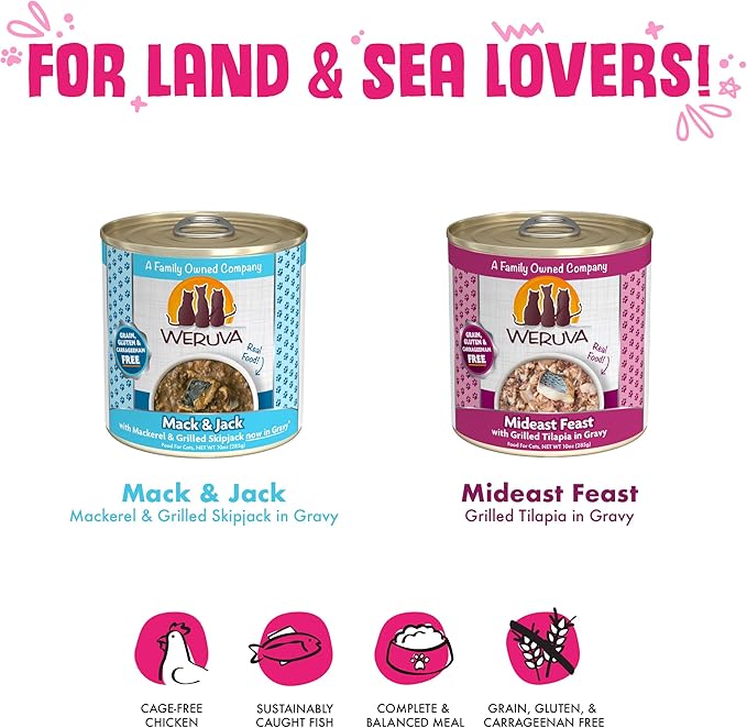 Weruva Classic Cat Food, Wowzer Meowzer Variety Pack, 10oz Cans (Pack of 12)