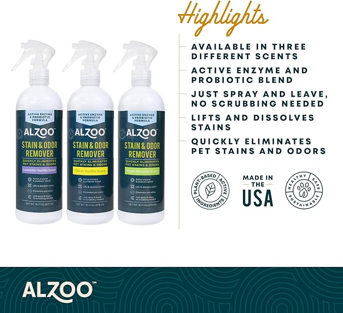 Stain & Odor Remover, Quickly Lifts & Dissolves Pet Stains & Helps Eliminate Odors, 100% Plant-Based Active Ingredients, Apple Blossom Scent, 16 Fl. Oz Spray Bottle