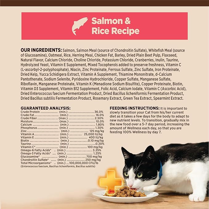 Wellness CORE+ Adult Dry Cat Food for Indoor and Outdoor Cats, Wholesome Grains, Natural, Digestive Health Salmon & Rice (11 Pound Bag)
