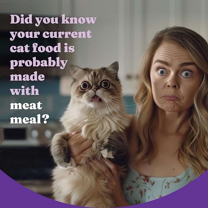 Halo Holistic Cat Food Wild Caught Salmon & Whitefish Formula, Healthy Grains Dry Cat Food, For Sensitive Stomach Support, Kibble for Adult Cats, 10 lb Bag