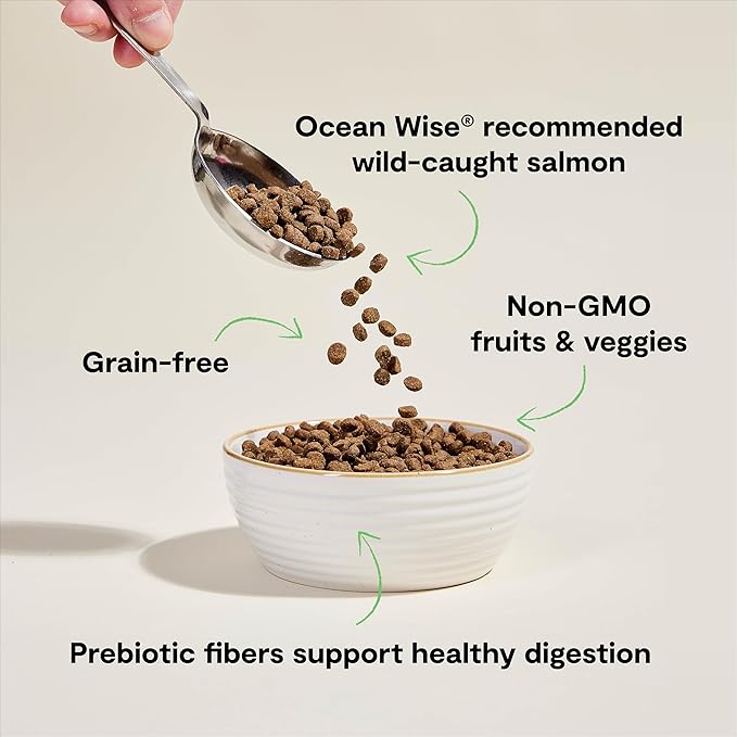 Open Farm, Grain Free Dry Cat Food, High-Protein Kibble for a Complete & Balanced Diet, Non-GMO Fruits & Vegetables, Prebiotic Fibers to Support Digestion, Wild-Caught Salmon Recipe, 4lb Bag