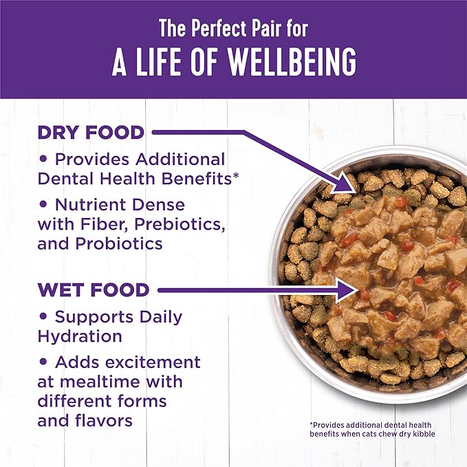 Wellness Complete Health Minced Adult Wet Cat Food, Natural, Protein-Rich, Grain Free, 5.5 Ounce, 24 Pack, (Chicken Entrée)