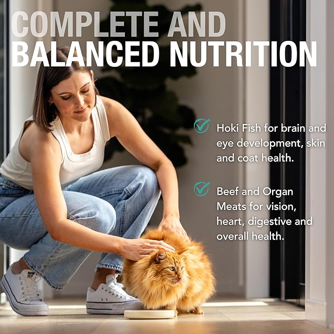 Feline Natural Wet Cat Food Pouch - Hoki & Beef Feast, Grain-Free, Grass-Fed & Sustainably Sourced Wet Food for Cats - Made in New Zealand, 3oz Pate, 12 Count Pack