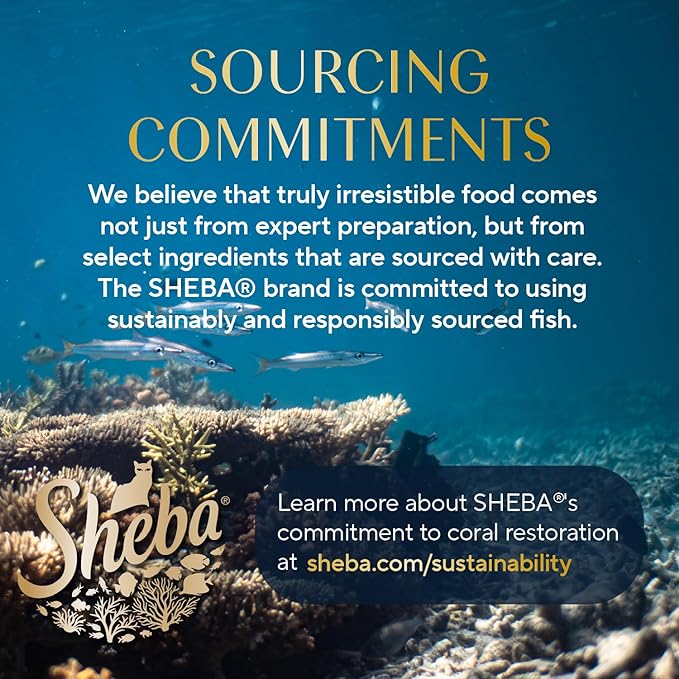 Sheba Perfect Portions Wet Cat Food Pate Savory Chicken, with Sustainable Salmon, and Roasted Turkey Entree Variety Pack, 2.6 oz. Twin-Pack Trays (18 Count, 36 Servings) (Pack of 2)