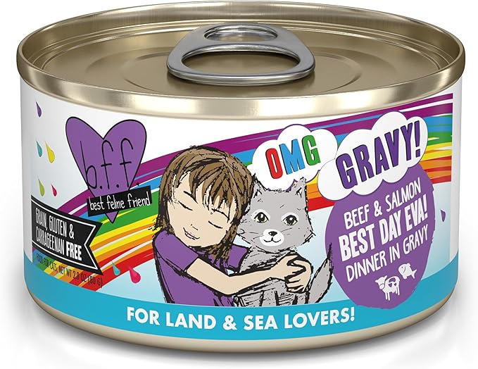 Weruva B.F.F. OMG - Best Feline Friend Oh My Gravy!, Best Day Eva! with Beef & Salmon in Gravy Cat Food, 2.8oz Can (Pack of 12)