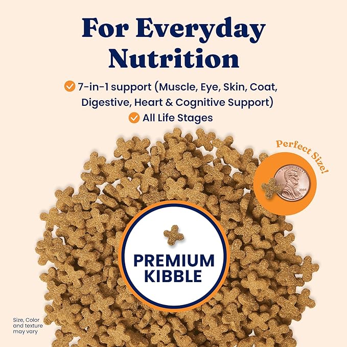 Solid Gold Dry Cat Food for Indoor Cats of All Ages - W/Lamb, Brown Rice, Barley, Probiotics & Fiber for Gut Health- Holistic & Healthy Cat Kibble for Kittens & Adults - Dry Kibble for Cats - 4 LB