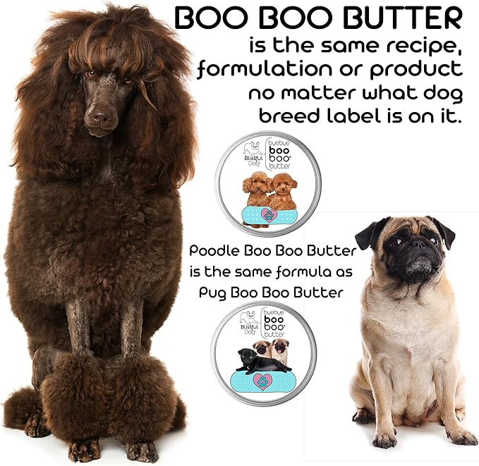 The Blissful Dog Leonberger Boo Boo Butter, 4-Ounce