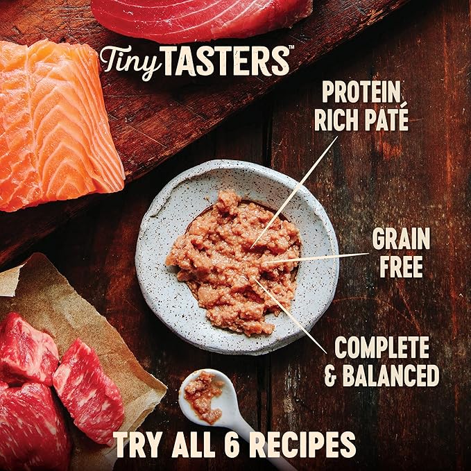 Wellness CORE Tiny Tasters Pate Adult Wet Cat Food, Natural, Protein-Rich, Grain Free, 1.75 Ounce Pouch, 12 Pack (Chicken & Turkey)