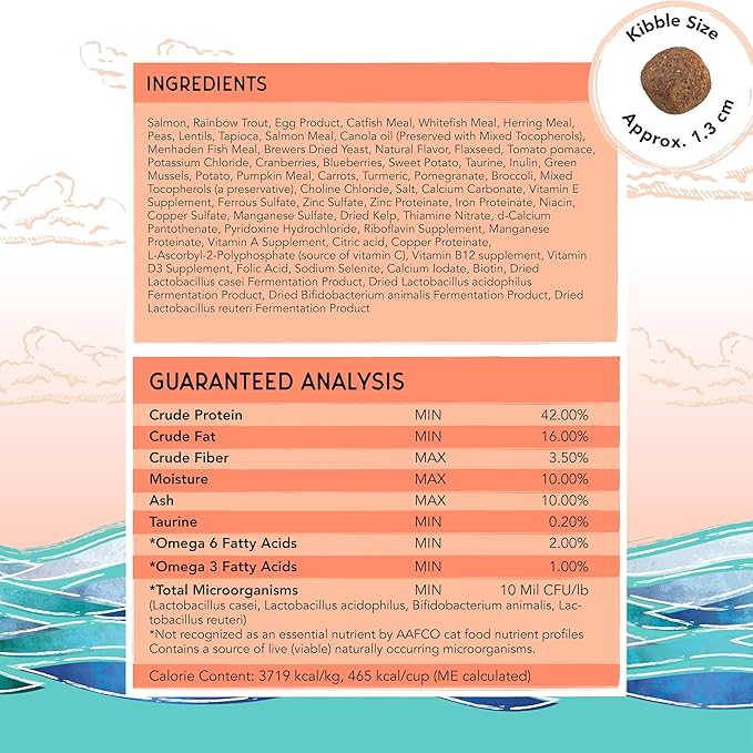 Blackwood Bounty Dry Cat Food, Salmon & Rainbow Trout Recipe for All Life Stages, 10 Pound Bag, High Protein, Grain Free