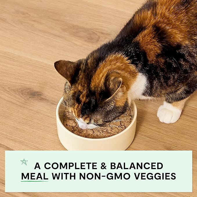 Open Farm Canned Kitten Food, Paté for Complete & Balanced Nutrition, Grain-Free and Legume-Free Wet Kitten Food, Chicken & Salmon Recipe, 2.8oz Cans (Case of 18)