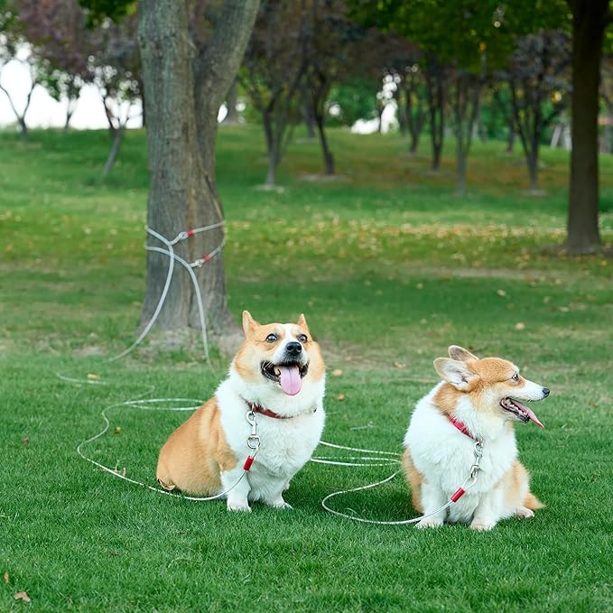 Amazon Basics Tie-Out Cable for Dogs up to 90 lbs, 25 feet, Set of 2, White