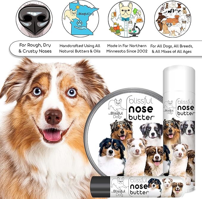 The Blissful Dog Australian Shepherd Nose Butter for Dry, Cracked Skin, Lick-Safe Dog Nose Balm with Moisturizing Shea Butter, Almond, Olive, and Essential Oils, Pet Supplies, Uncented, 8 oz.